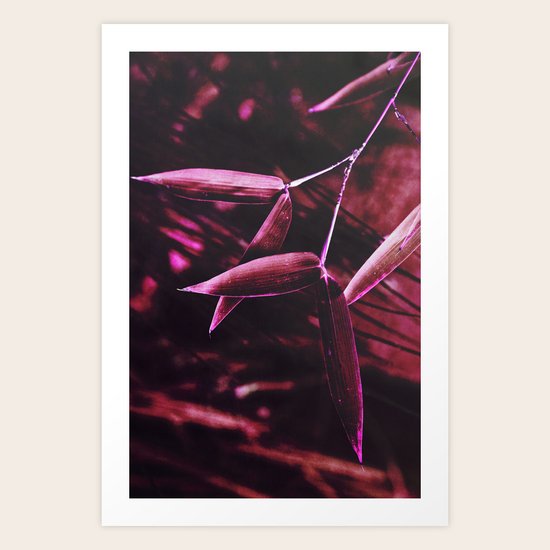 Purple Bamboo Art Print
