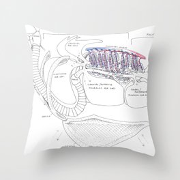 Avian Respiratory System, lateral view Throw Pillow