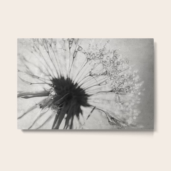free Metal Print