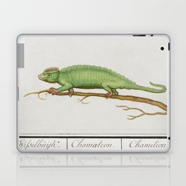Chameleon, Chamaeleonidae Laptop Skin