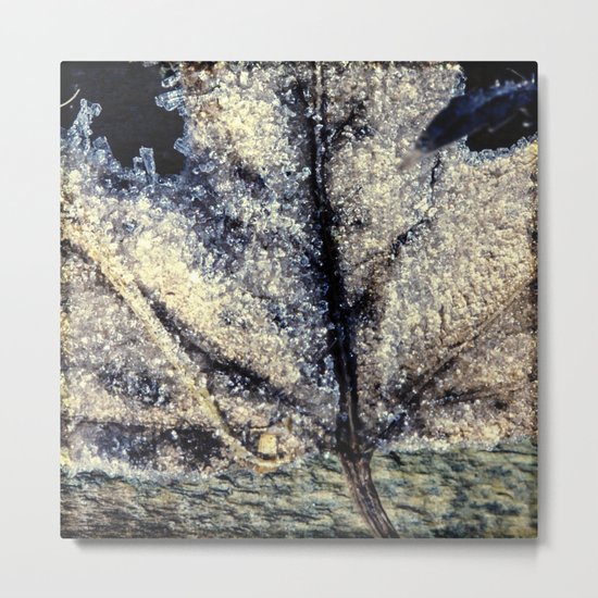 ice crystals Metal Print
