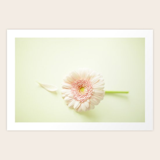 Bloom Again Art Print