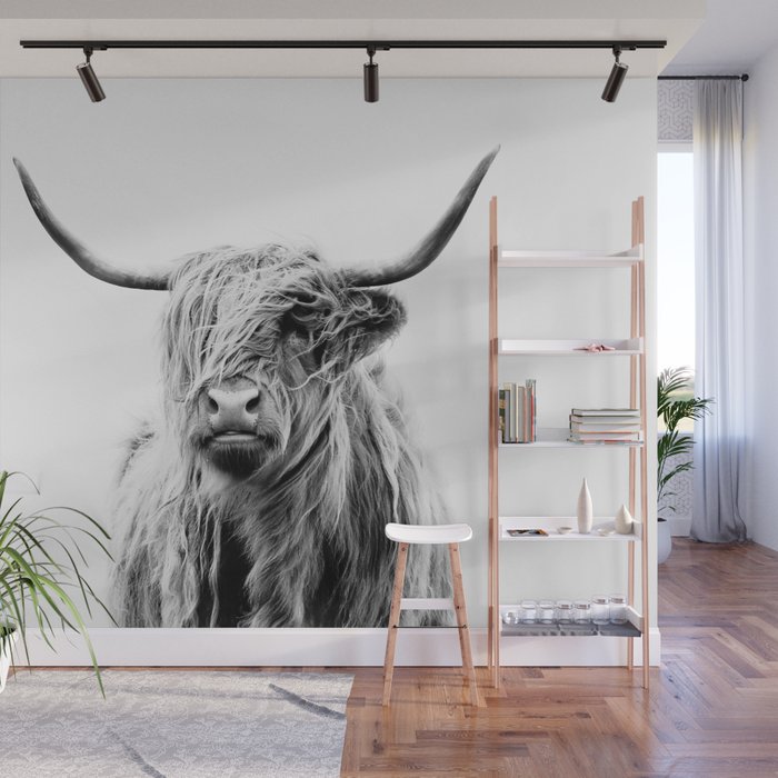 portrait of a highland cow (horizontal) Wall Mural