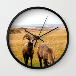 Long horned sheep Wall Clock | Longhornedsheep, Digital, Animal, Color, Sheep, Photo, Nature, Hdr, Hi Speed 