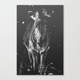 Gray Vintage Zebra Canvas Print