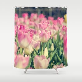 Blooming pink and yellow tulips.  Shower Curtain