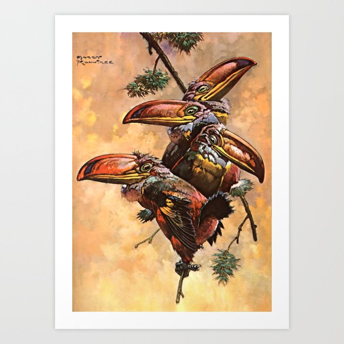 “Hornbills” Fantasy Art by Harry Rountree Art Print by Patricia Society6