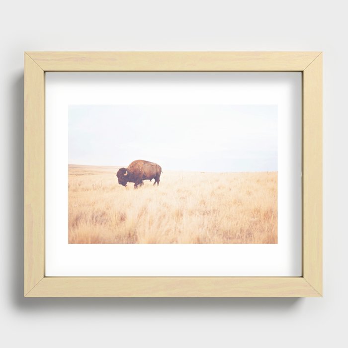 Wild & Free x Buffalo Recessed Framed Print