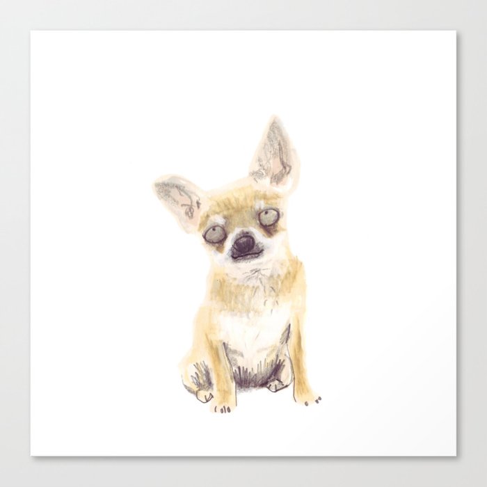 Chihuahua Canvas Print
