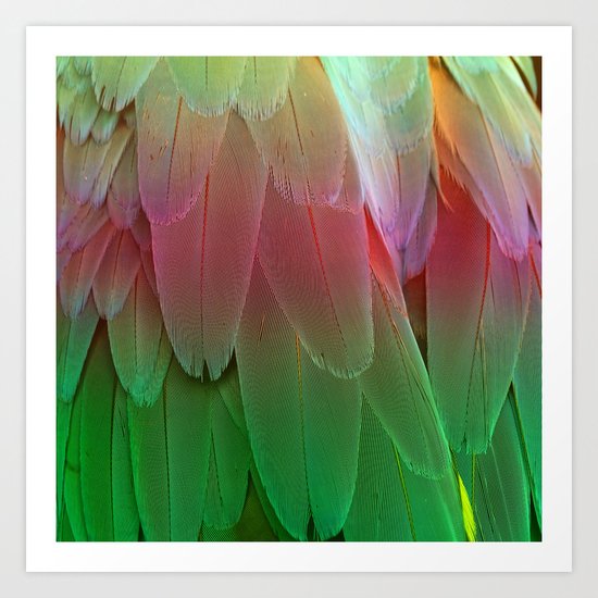 feather Art Print