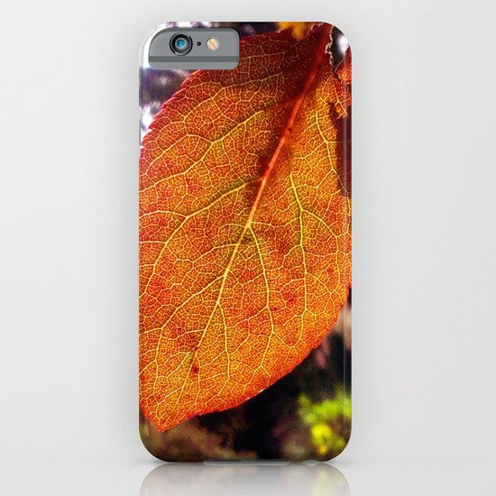Autumn Leaves iPhone & iPod Case