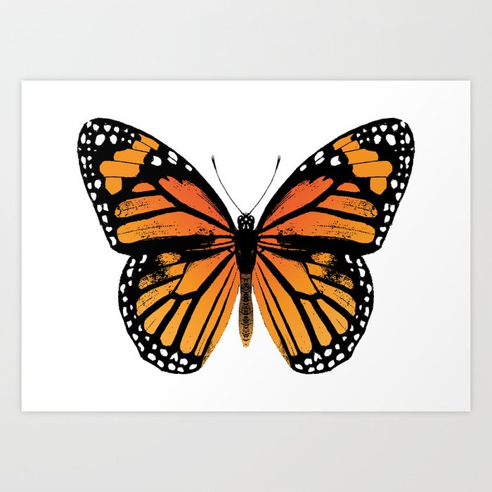 Monarch Butterfly | Vintage Butterfly | Art Print
