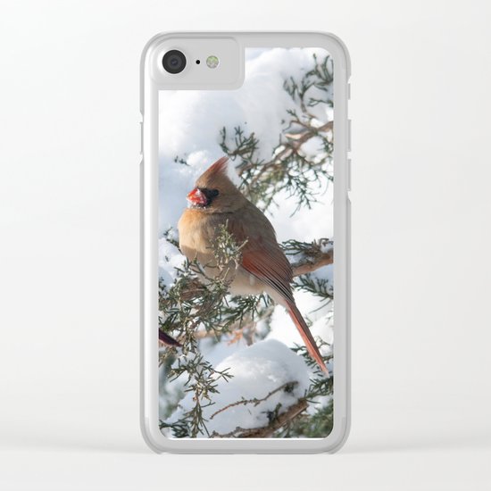 Sunny Winter Cardinals (square) Clear iPhone Case
