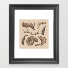 Antlers Framed Art Print