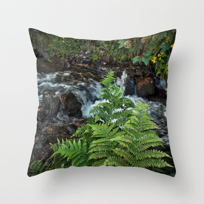 Ferns, Wahkeenah Falls, Columbia River Valley, Portland, Oregon Throw Pillow