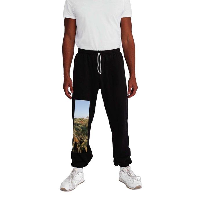 Palm trees valley with red fruit Sweatpants