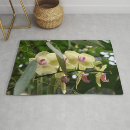 Tropical Flowers Orchids 08 Area & Throw Rug