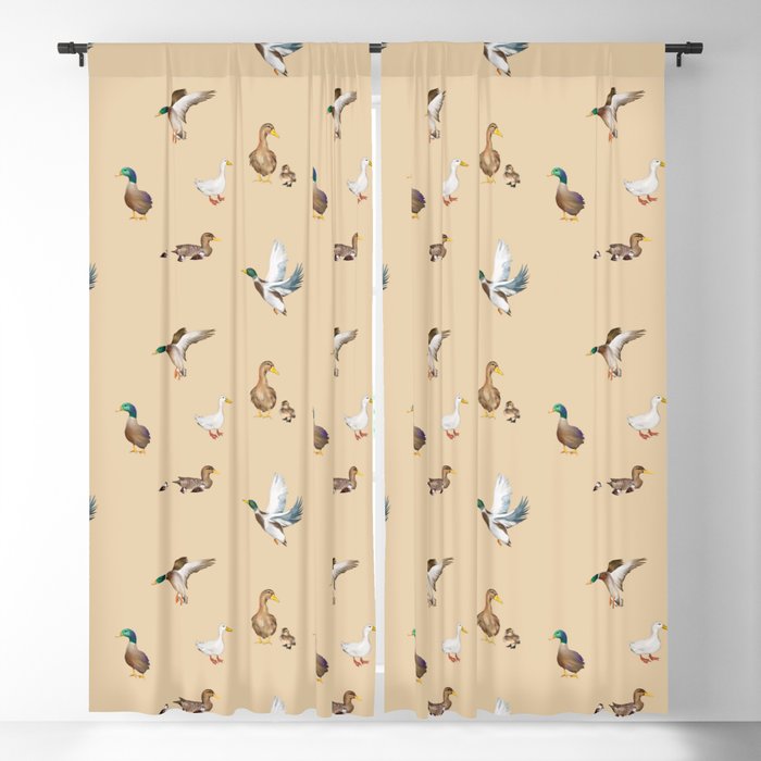 Blackout Curtain