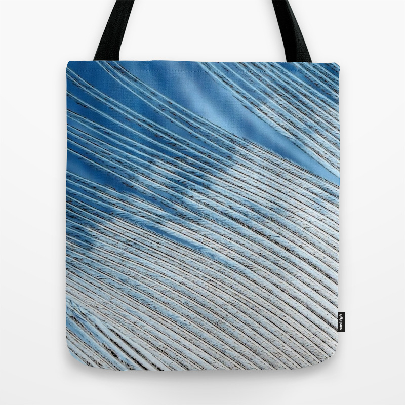 blue feather bag