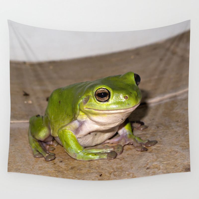 A Beautiful Green Tree Frog Sitting On Tiles Wall Tapestry By Hereswendy Society6