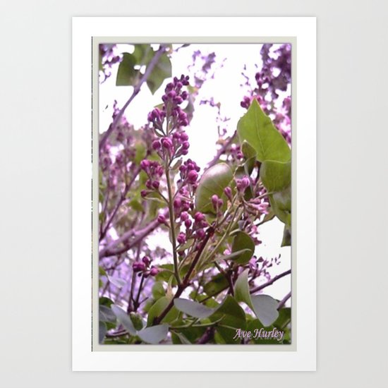 Lilacs Art Print