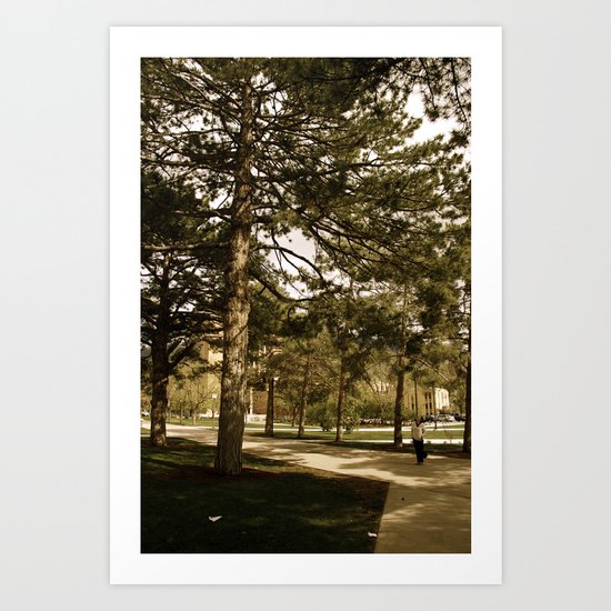 In Comparison... Art Print