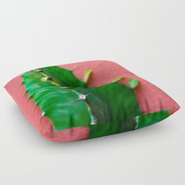 Have A Cactus Floor Pillow