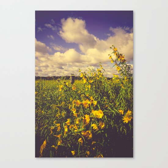 Field of Happiness Canvas Print