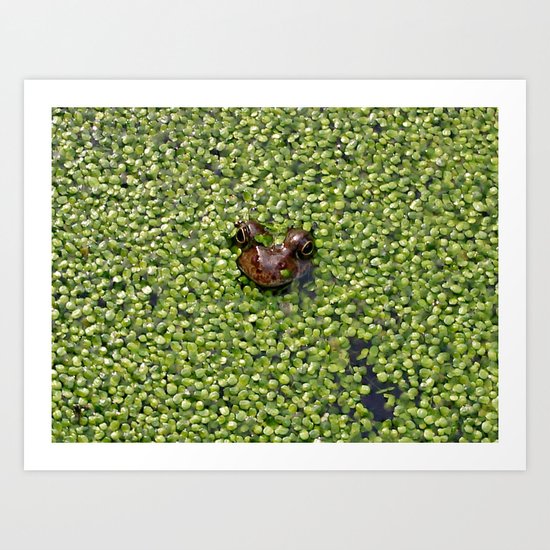 the frog Art Print