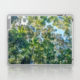 Valley of the Giants Forest, Fraser Island Australia Laptop & iPad Skin