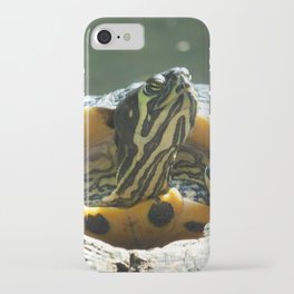 Turtle Sunbathing iPhone Case