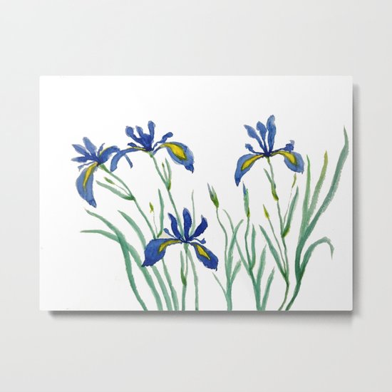 iris Metal Print