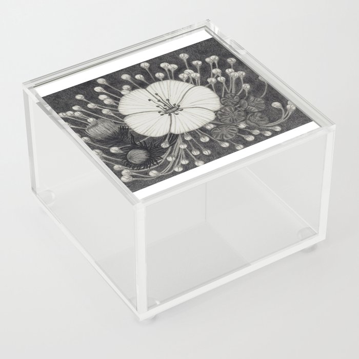 Flowers Acrylic Box