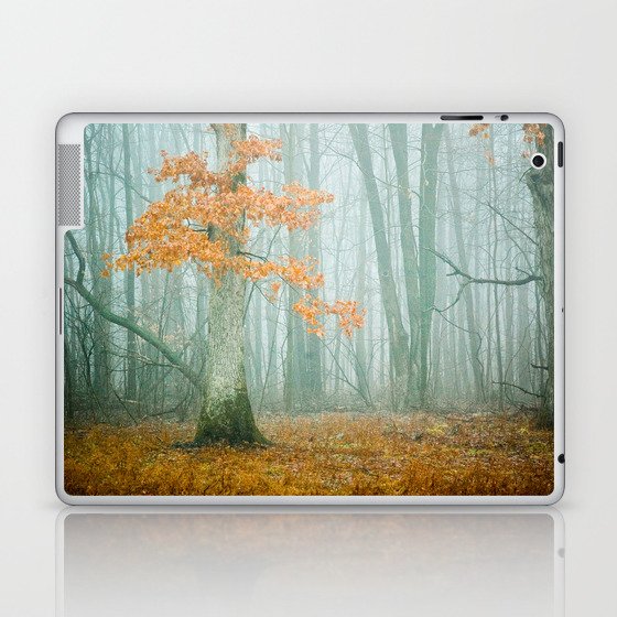 Autumn Woods Laptop & iPad Skin