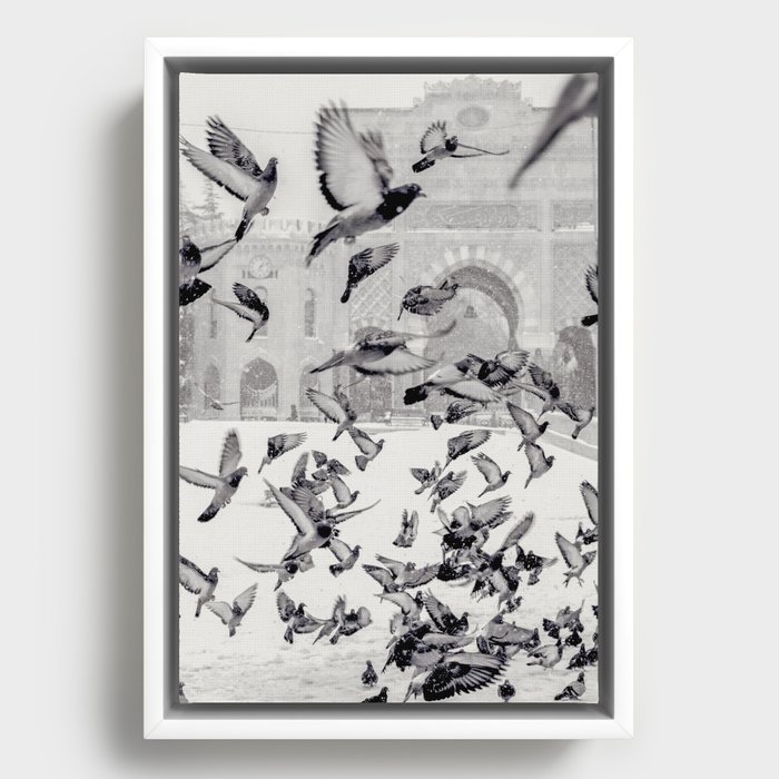 Framed Canvas
