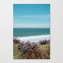 beach Canvas Print