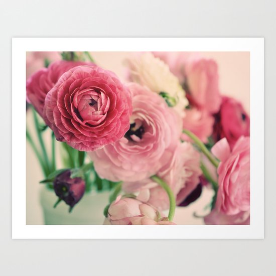 Ranunculus in Pink Art Print