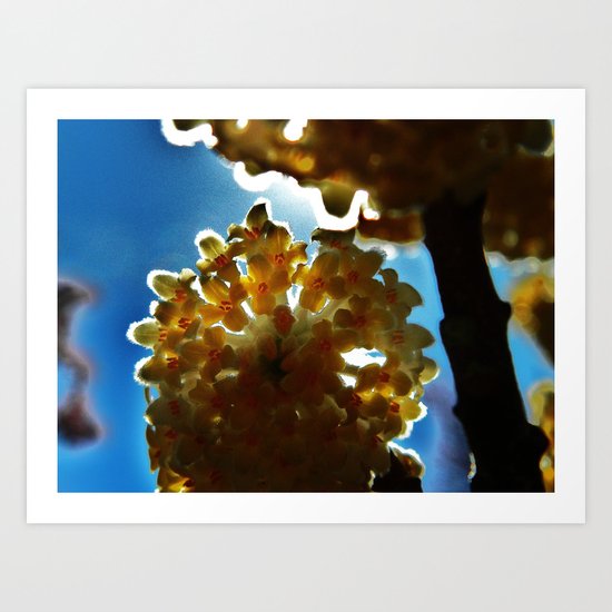 Untitled Art Print