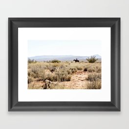 on a horse with no name Framed Art Print