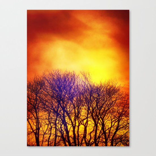 Fire in the sky Canvas Print