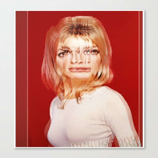 Another Portrait Disaster · S1 Canvas Print