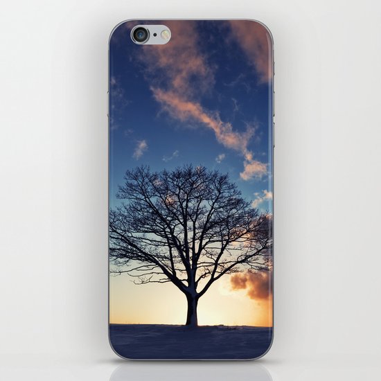 Winter Sunset iPhone Skin