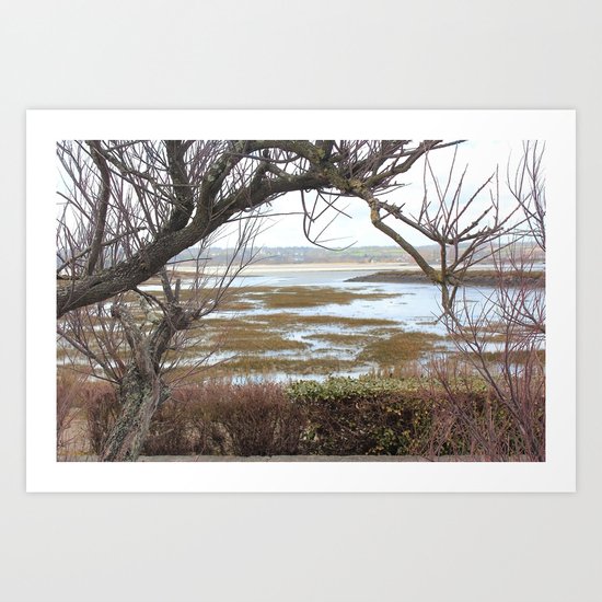 The tree before the water Art Print