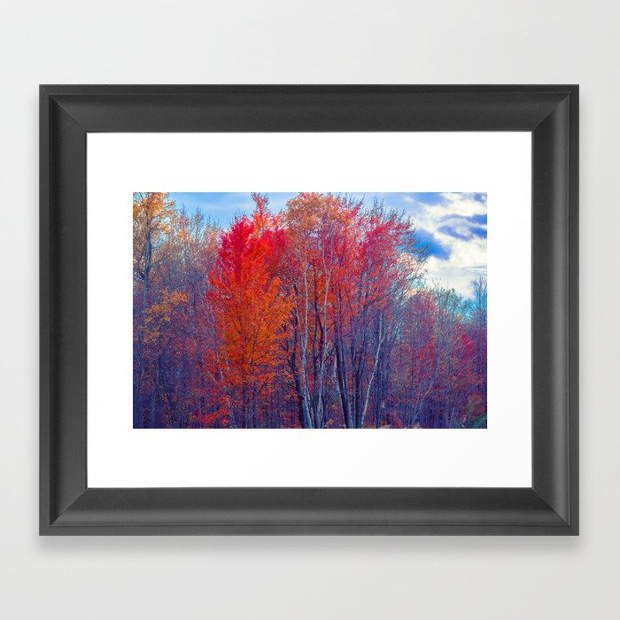 Where The Trail Ends Framed Art Print by Faded Photos | Society6