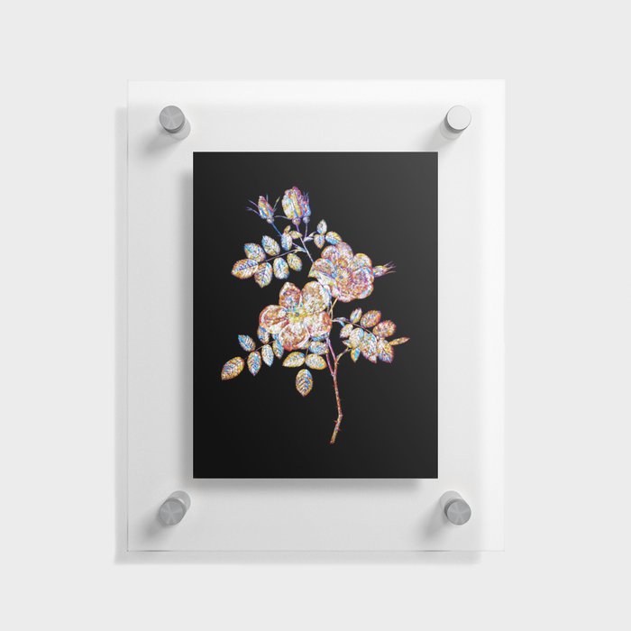 Floral Austrian Briar Rose Mosaic on Black Floating Acrylic Print