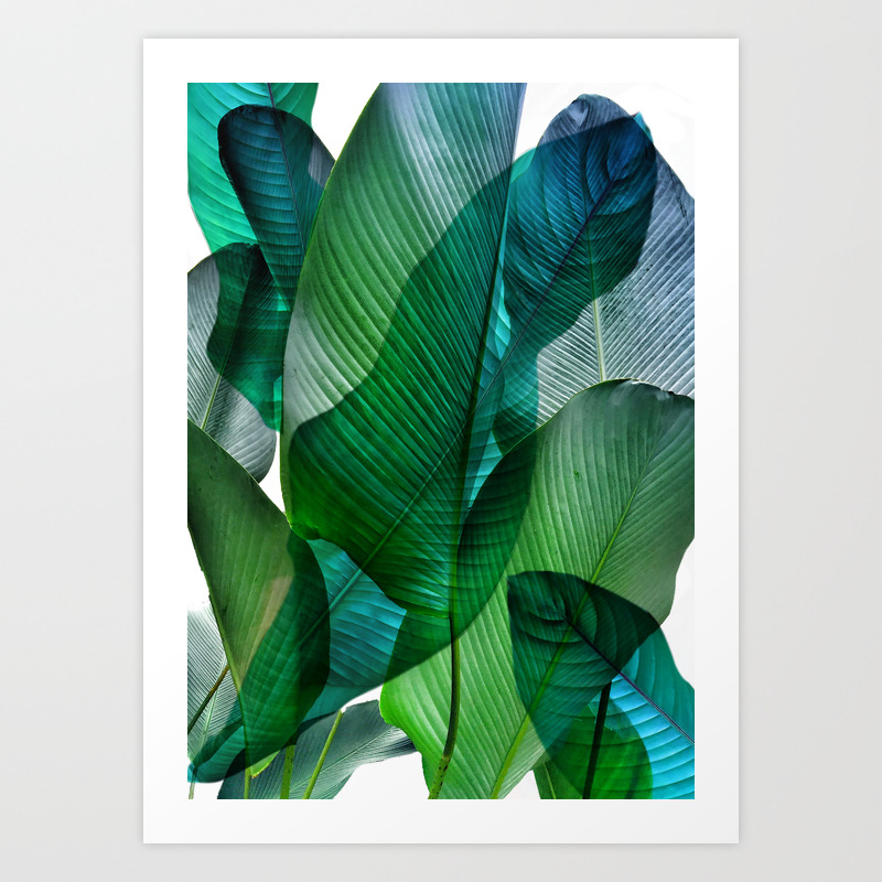 Palm leaf jungle Bali banana palm frond greens Art Print