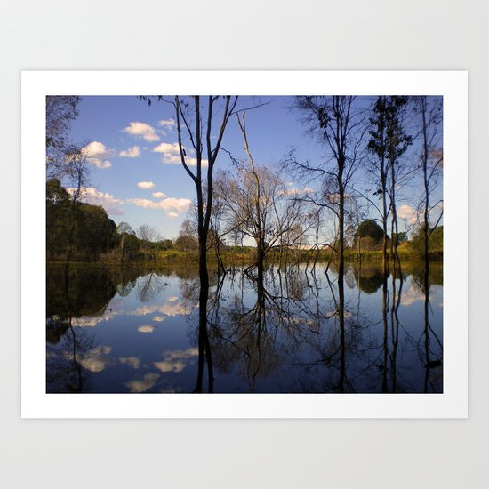 Reflection Art Print