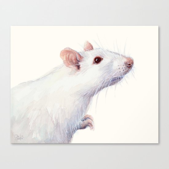 White Rat Watercolor Albino Rat Animal Canvas Print