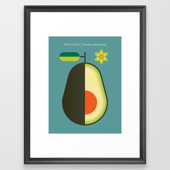 Fruit: Avocado Framed Art Print