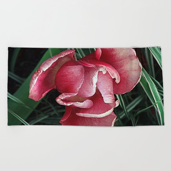 Vintage tulips(6) Beach Towel